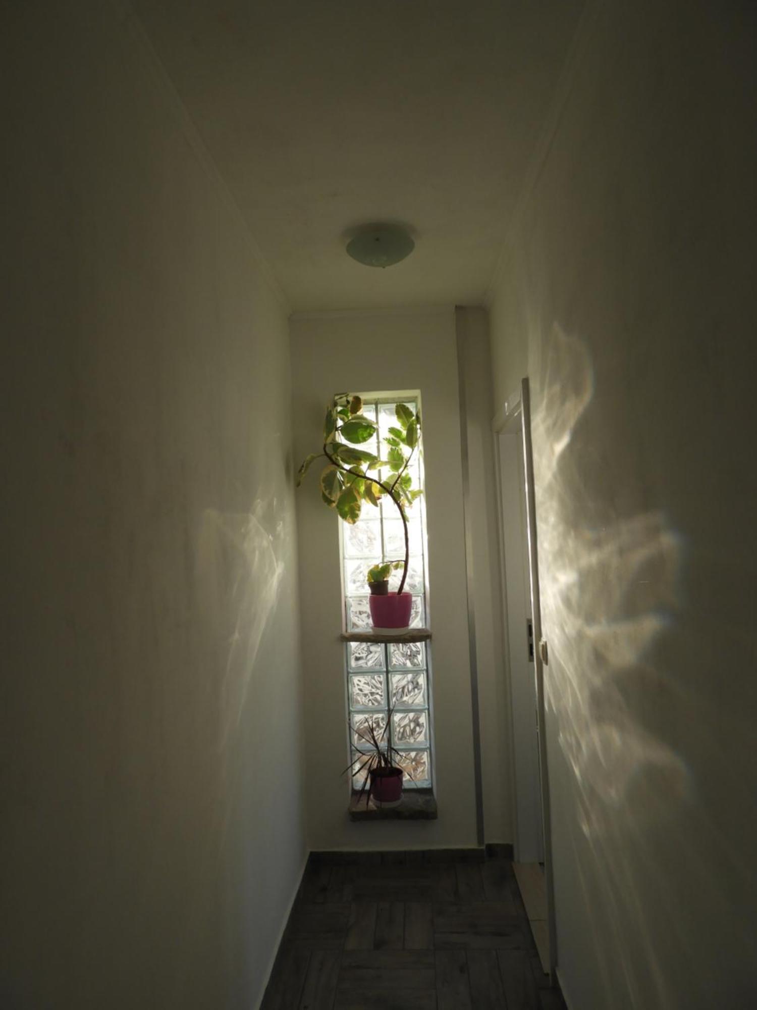 Apartman Pobuk Primošten Esterno foto